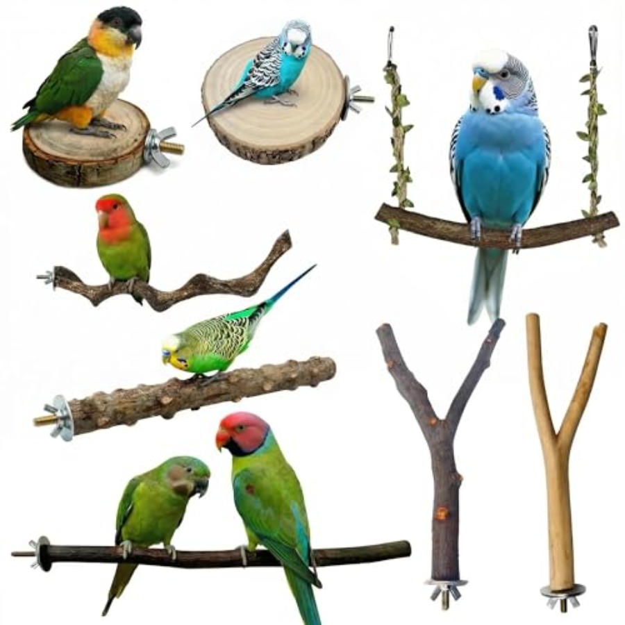 8 Stück Vogelsitzstangen aus N – Health & Wellness Kuala Lumpur Reviews Bewertung und Preis